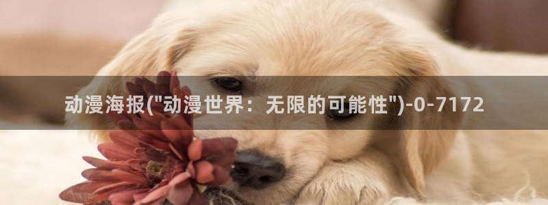 卡通动漫:动漫海报(\